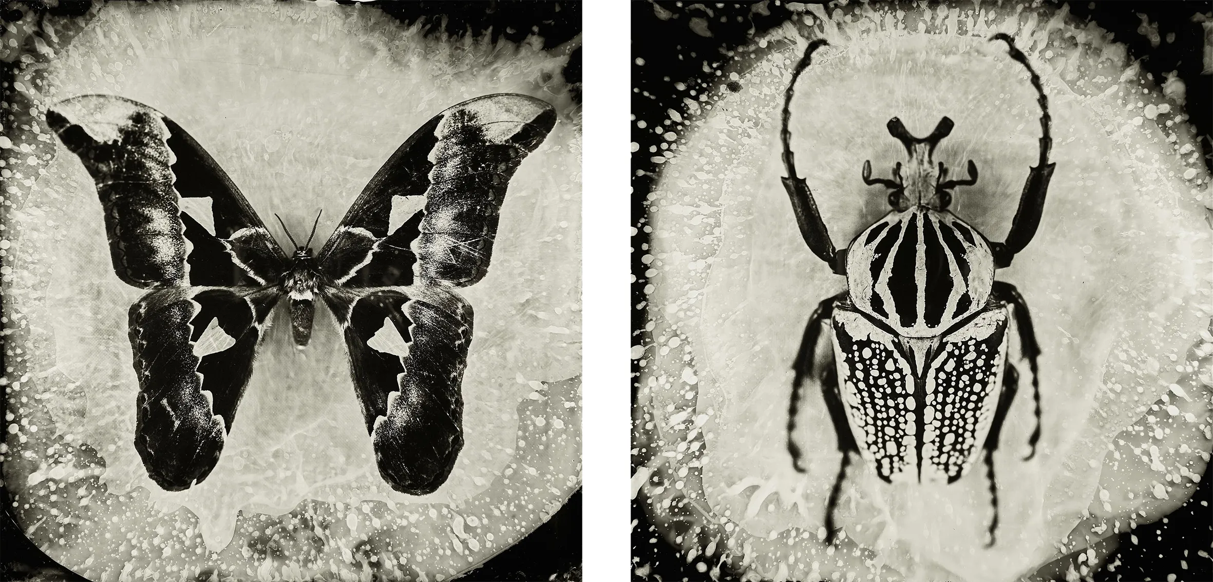 Street photographie, photo de rue