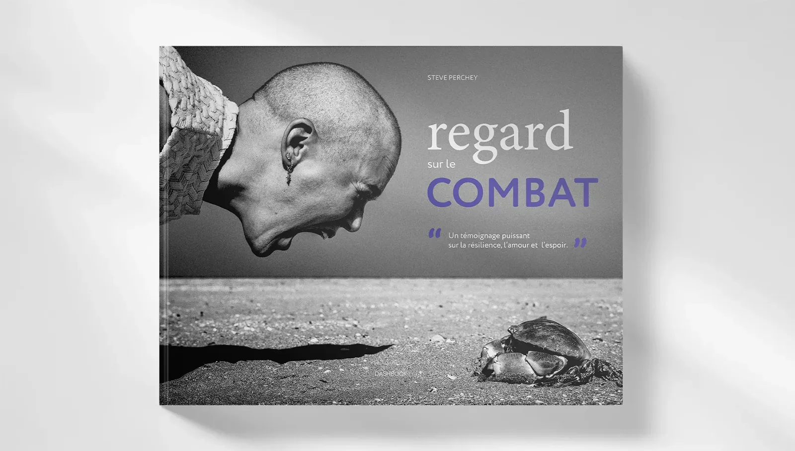 Couverture du livre Regard sur le combat de Steve Perchey