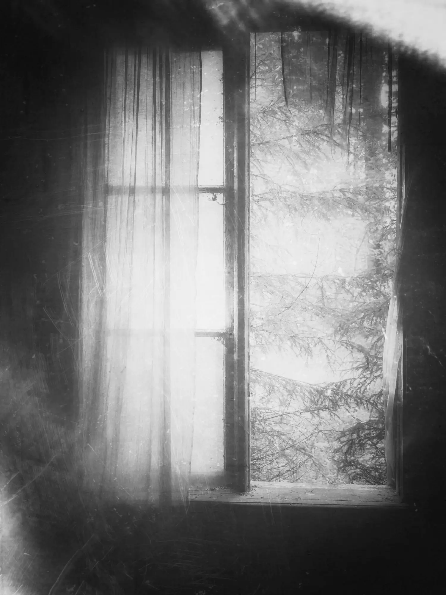Photographie de Delphine Margau — Beyond — Voir ce qui ne veut pas être vu, et accueillir les vacillements.