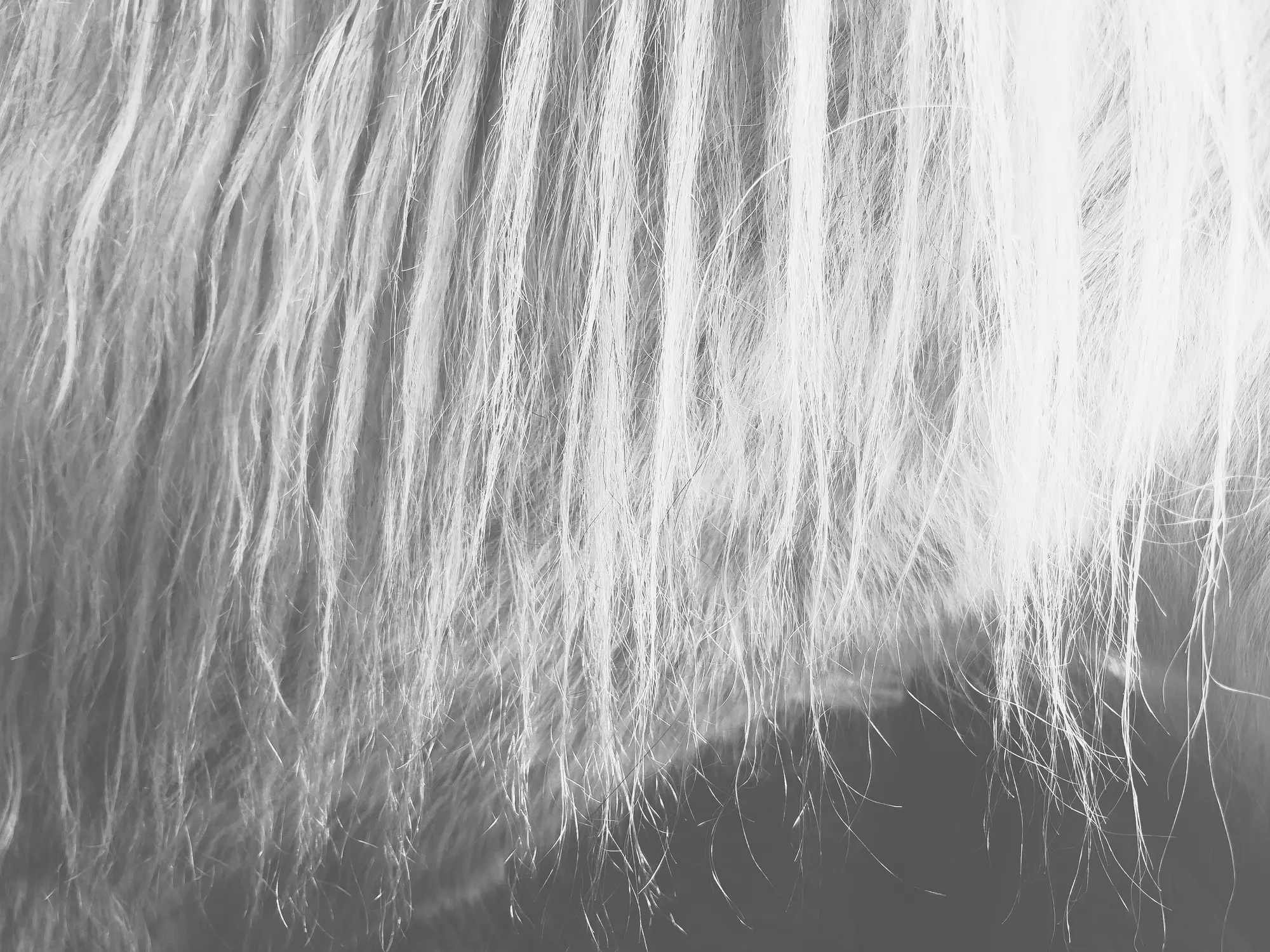 Photographie de Delphine Margau — Mystical Mane — La nudité de la tendresse.