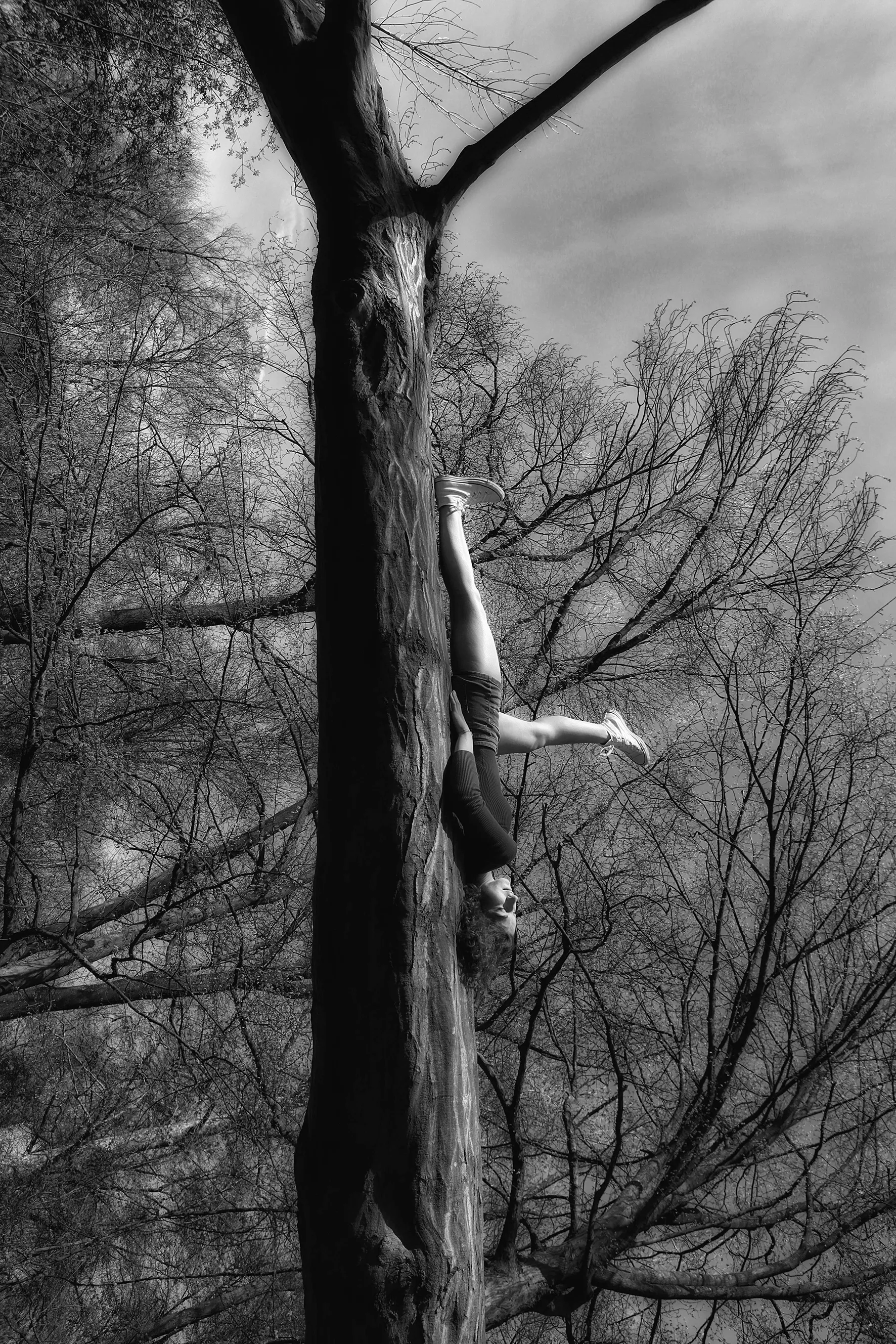 Photographie de Frédérick Guerri — image 03