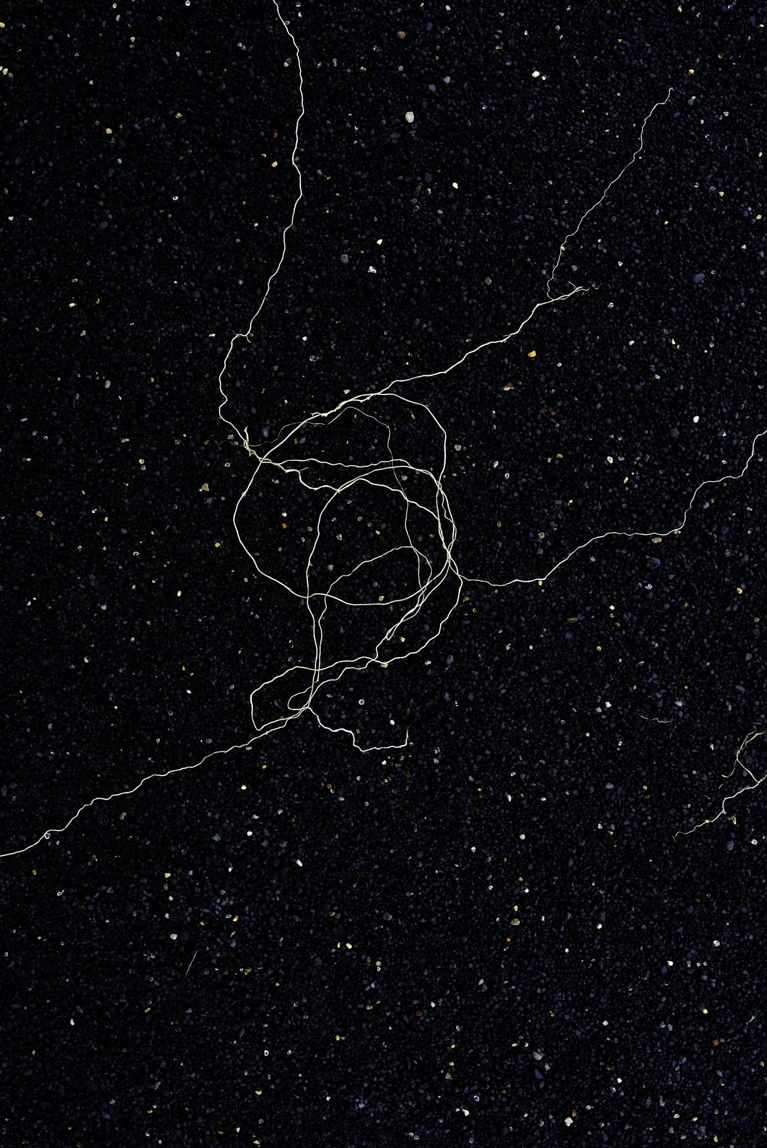 Photographie de Laure Debrosse — image 02