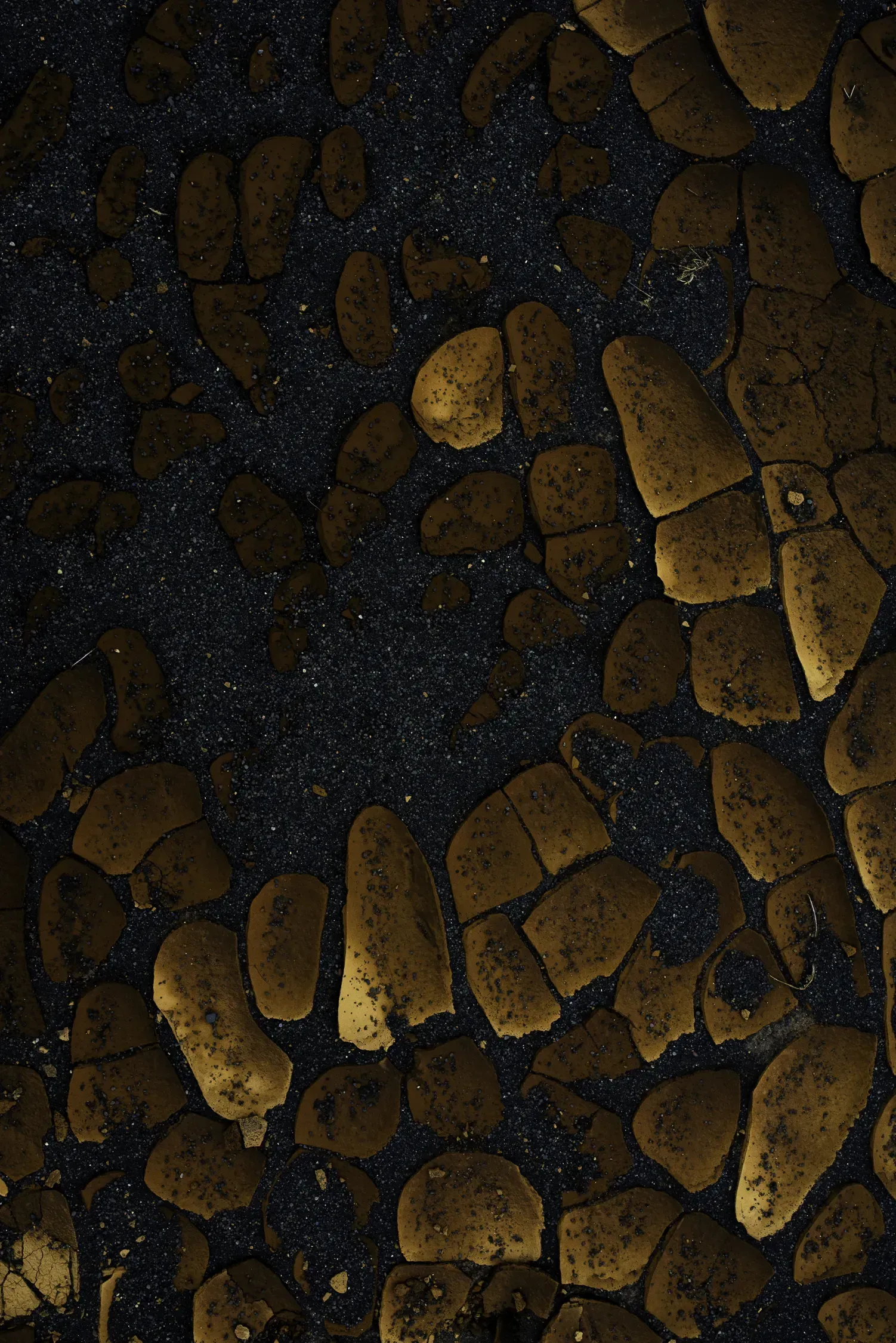 Photographie de Laure Debrosse — image 03