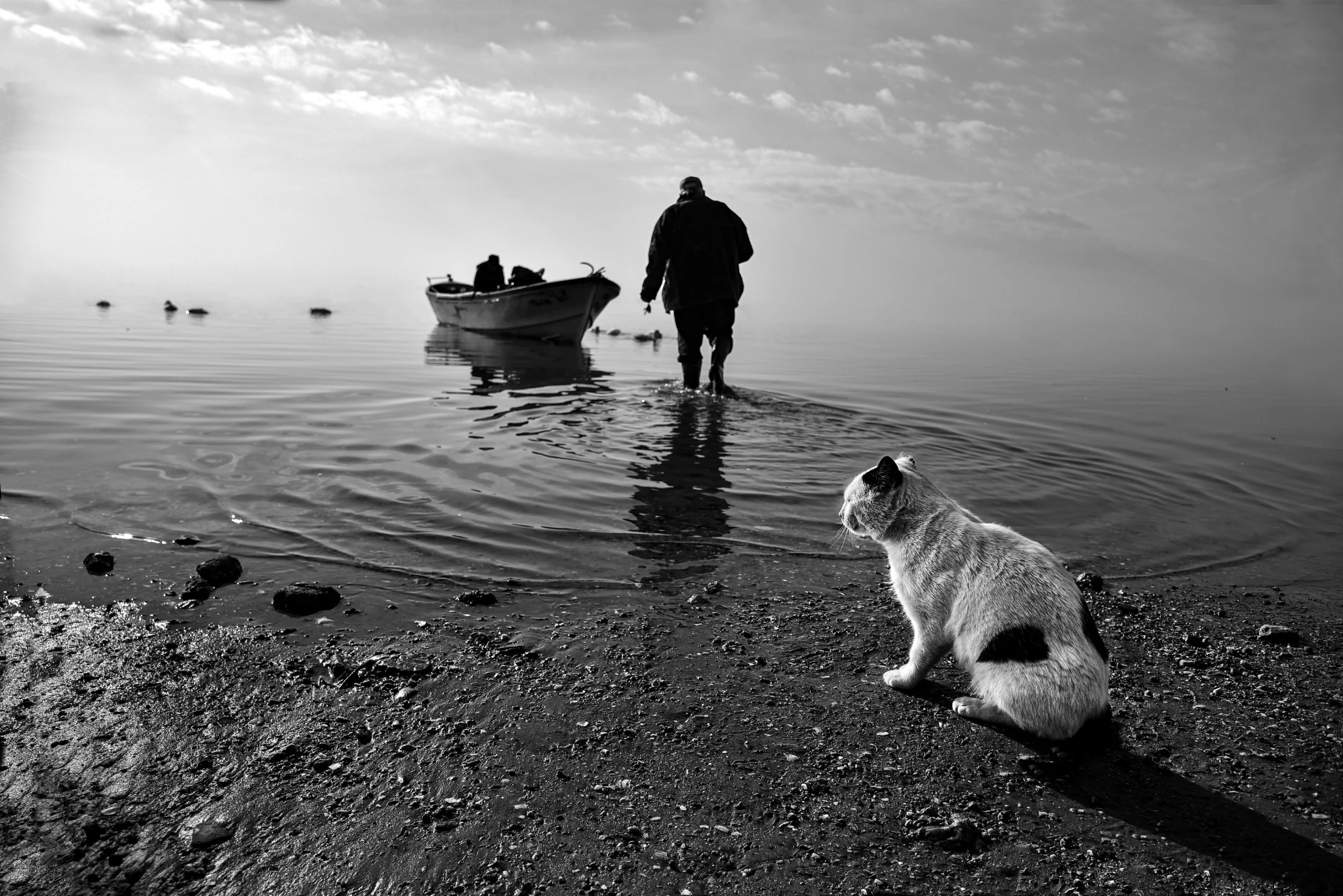 Photographie de Neslihan Bilge Aytan