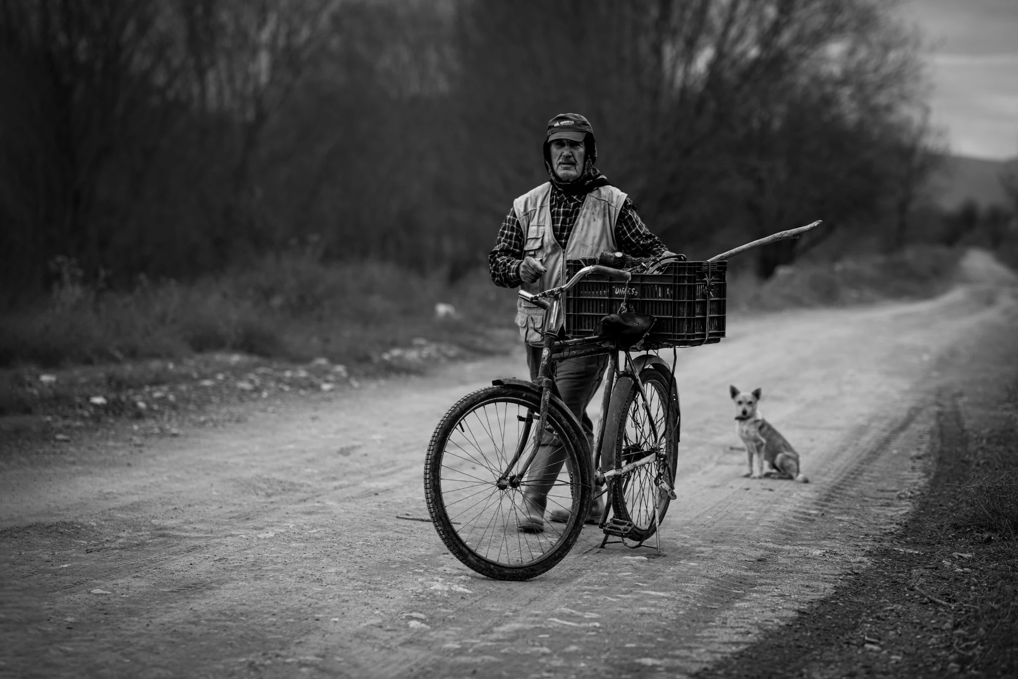 Photographie de Neslihan Bilge Aytan