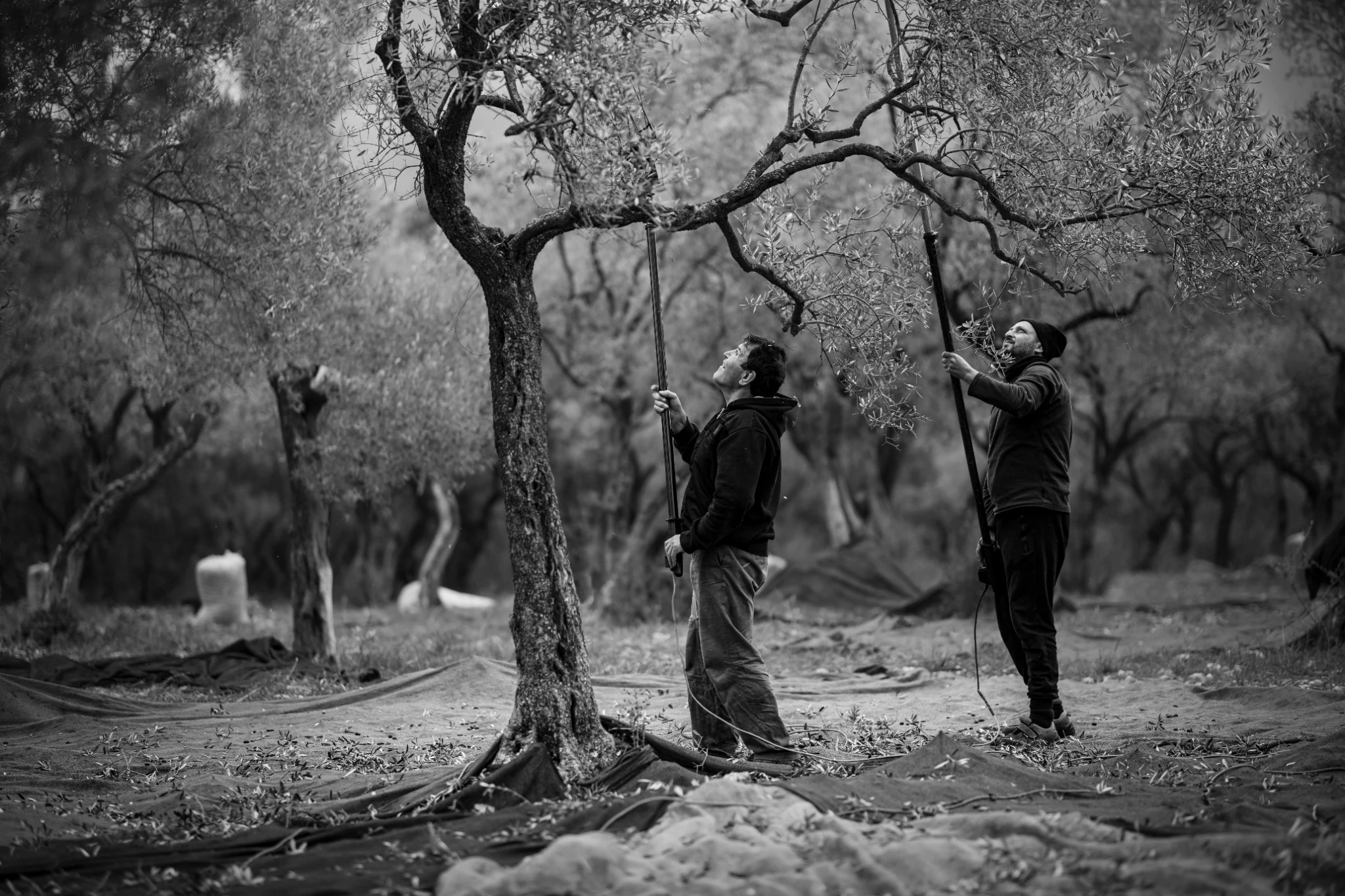 Photographie de Neslihan Bilge Aytan