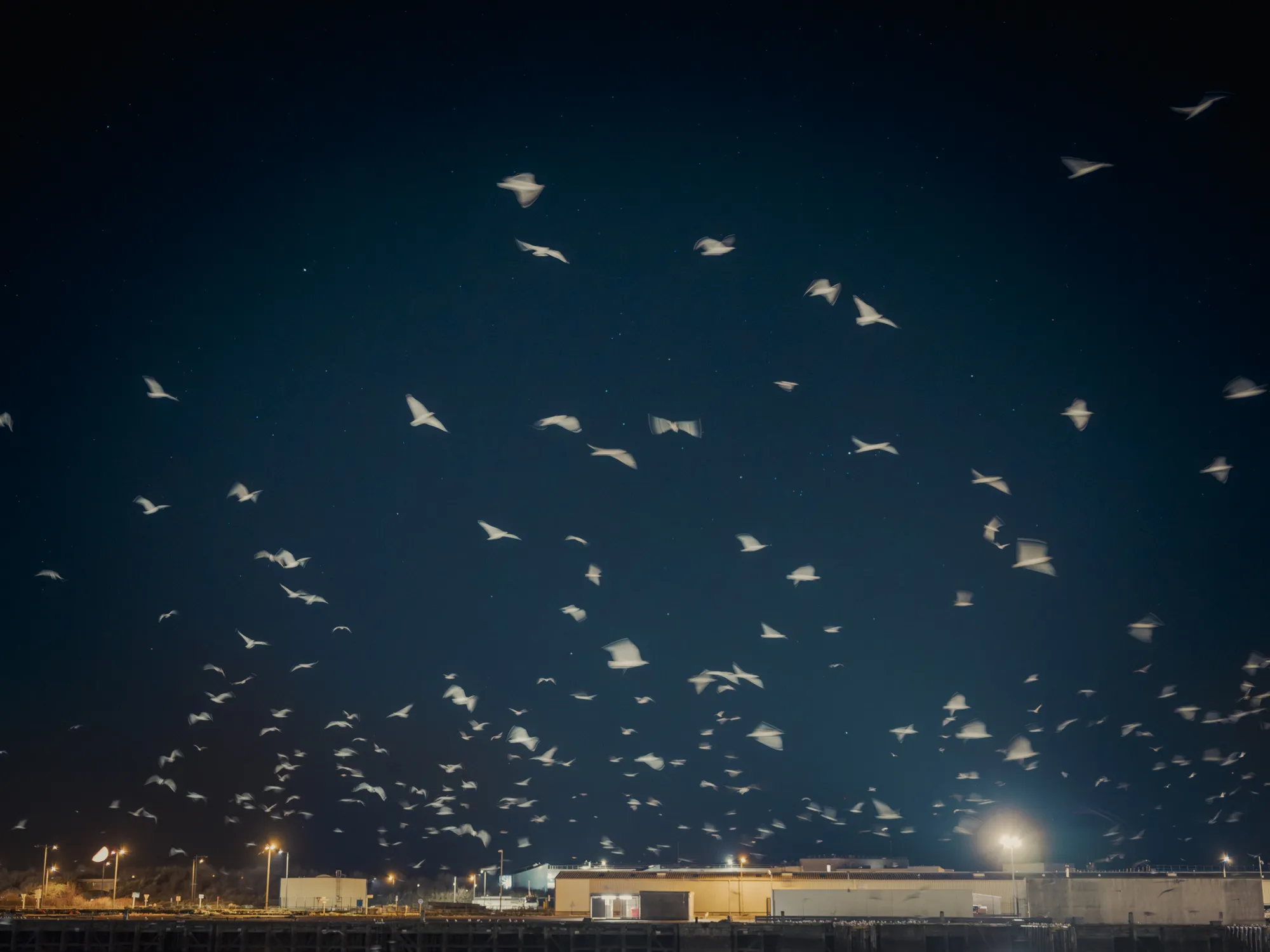 Photographie de Raynald Vasseur — image 07